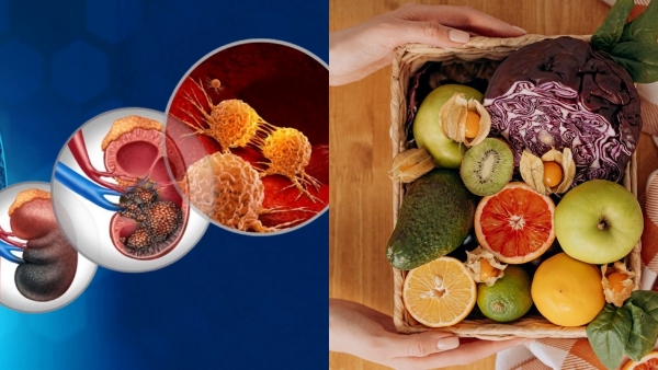 diet-tips-for-kidney-cancer diet-tips-for-kidney-cancer