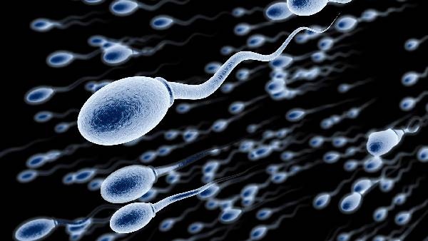 what-are-the-main-reasons-for-fertility-problem-and-sperm-damage-in-men