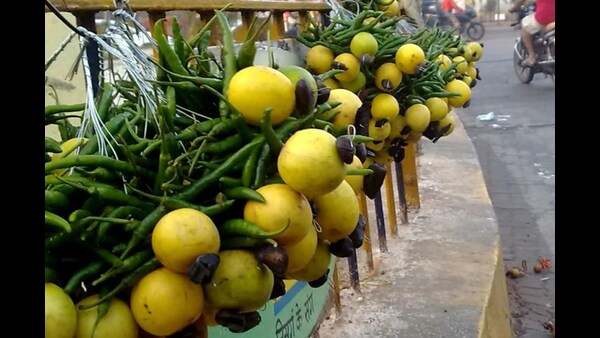 Keeping these things in our homes and business centres makes us happy and brings profit