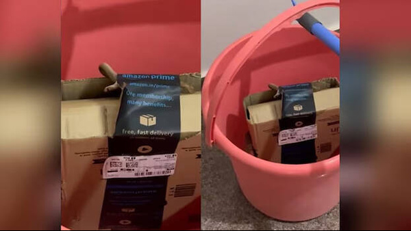 cobra-snake-in-amazon-parcel-in-bangalore-and-dead-mouse-in-hersheys-chocolate-syrup-viral-videos