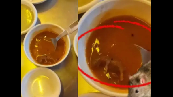 women-sues-company-for-paying-full-salary-without-working-dead-rat-found-in-sambar-in-ahmedabad-res