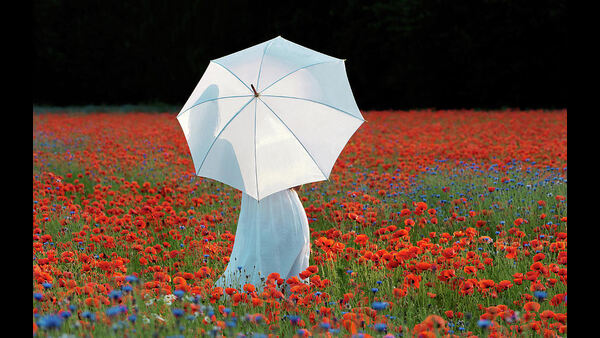 if-you-see-these-things-in-dreams-then-you-are-lucky-and-going-to-have-huge-wealth-according-to-hind