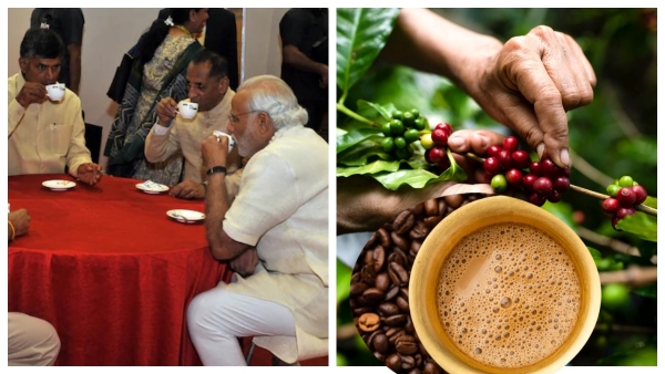 araku-coffee-that-impressed-pm-modi-explore-its-praises