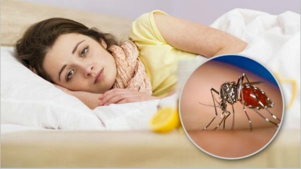 How dengue severely affects the brain and nervous system