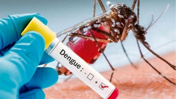 How dengue severely affects the brain and nervous system