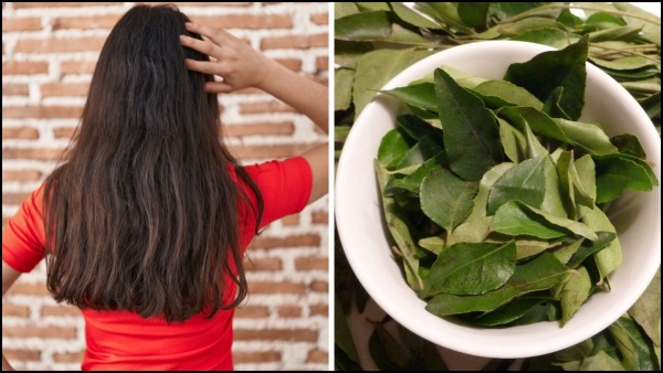 how to make curry leaf hair oil to prevent hair loss