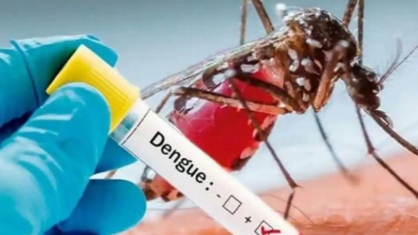 How dengue severely affects the brain and nervous system