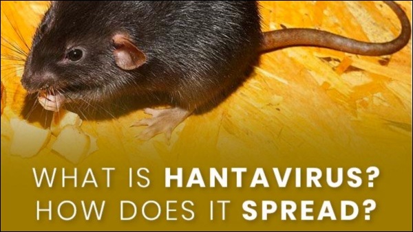 US have issued warnings on HantaVirus