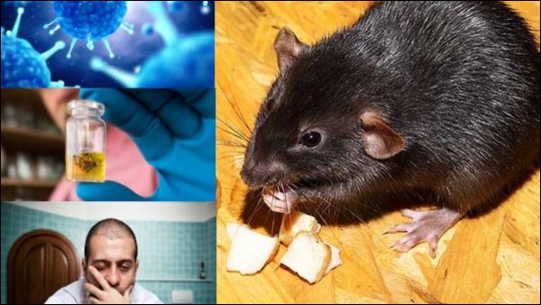 US have issued warnings on HantaVirus