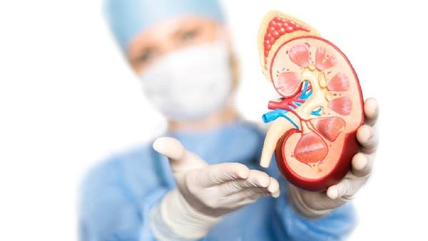 main symptoms if you have kidney related problems