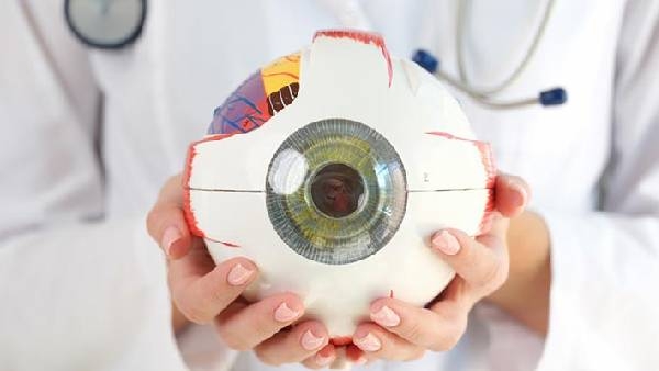 Health Status and diseases can be known just be seeing the eyes