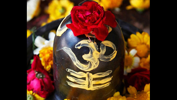 flowers liked by lord shiva