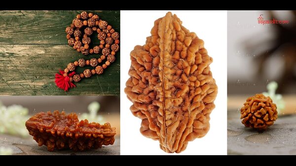 Rudraksha Protecting from negative energy