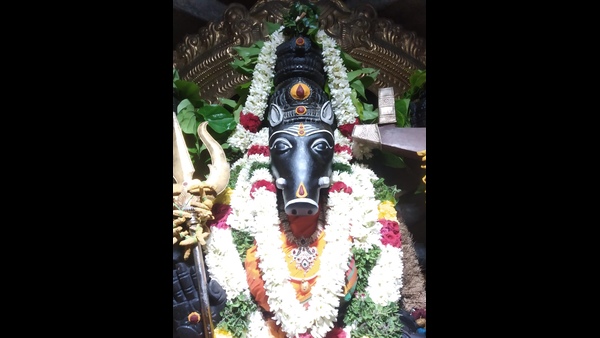varahi ammavari navaratri pooja