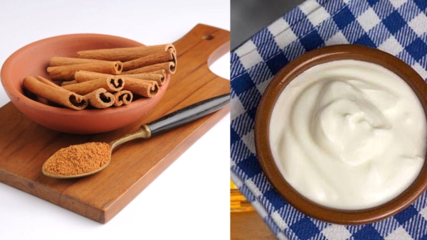 How Curd and Cinnamon Powder Can Help Control Blood Sugar