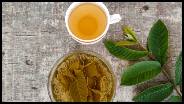 Health benefits of guava leaves