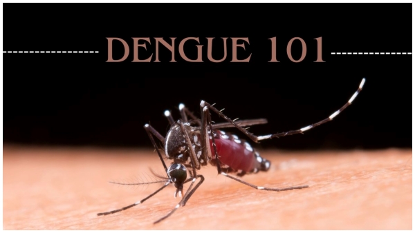 When to test for dengue after fever