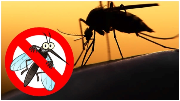 When to test for dengue after fever