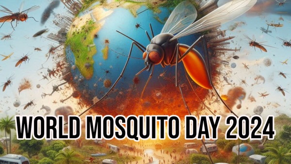World Mosquito Day 2024 World Mosquito Day 2024