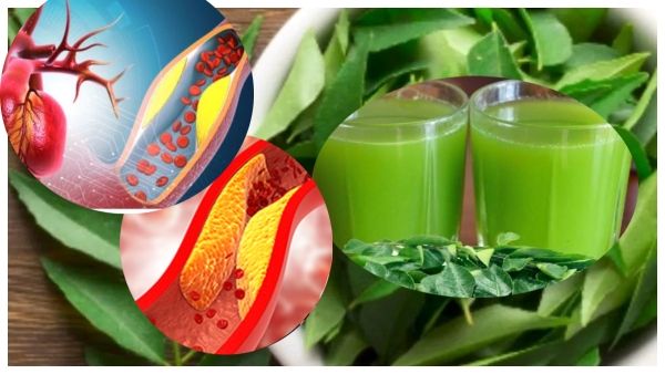 Curry Leaves Water for cholesterol