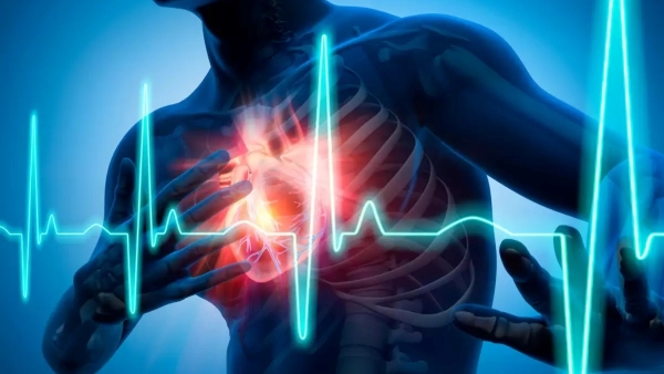 World Heart Day 2024 World Heart Day 2024