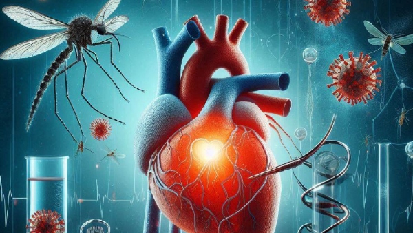 Dengue-Increases-Risk of -Heart -Disease1