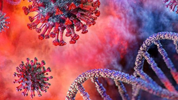 Does Monkeypox Cause Brain Inflammation