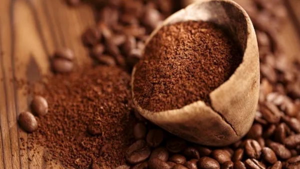 Natural Ways to Get Rid of Lizards