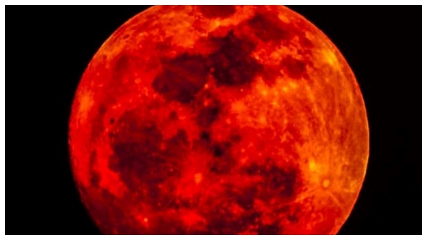 Super Harvest Blood Moon