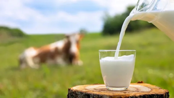 Detect Milk Adulteration in Seconds
