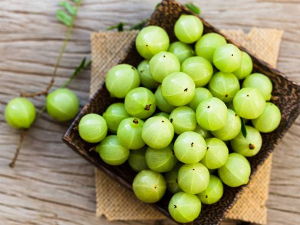 Know multiple health benefits of consuming Amla Regularly in detail