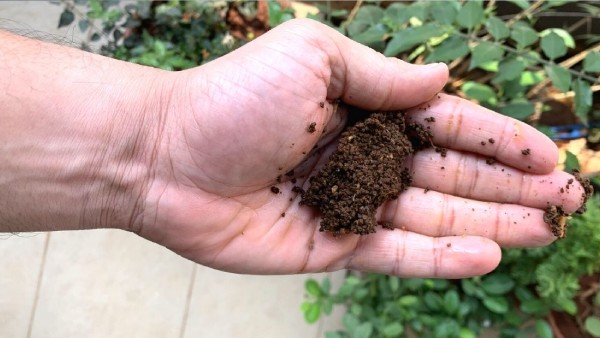 Wow Is there so much profit with the discarded tea powder If you know you will not fall again Wow Is there so much profit with the discarded tea powder If you know you will not fall again