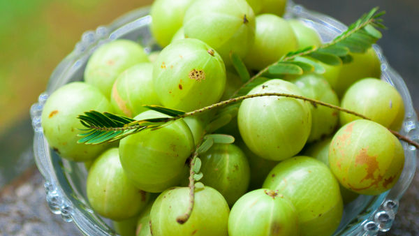 health benefits of eating one amly daily on empty stomach