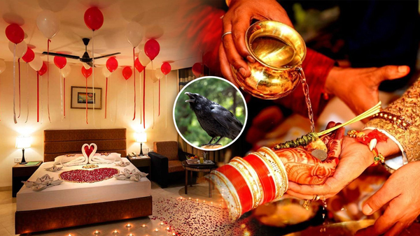 myths and superstitions about crow and other birds