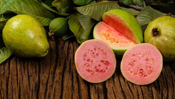 People who are suffering with these health issues should not eat guava why because People who are suffering with these health issues should not eat guava why because