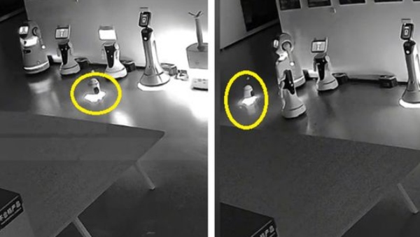 Airboy robot kidnaping another robot Video is trending on social media