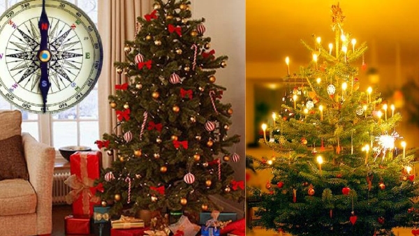 Christmas 2024 know right way to place Christmas tree in home Christmas 2024 know right way to place Christmas tree in home