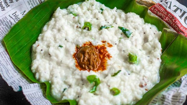 What will happen if we eat curd rice in winter Here are shocking facts