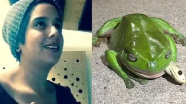 Mexican actress died after drinking poisonous frog drink called combo Mexican actress died after drinking poisonous frog drink called combo