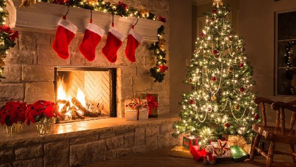 History of the Christmas tree Why should We keep it on christmas History of the Christmas tree Why should We keep it on christmas