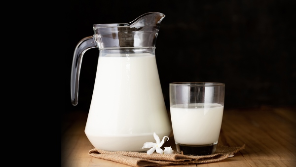 Difference between cow milk and buffalo milk And which is best for health