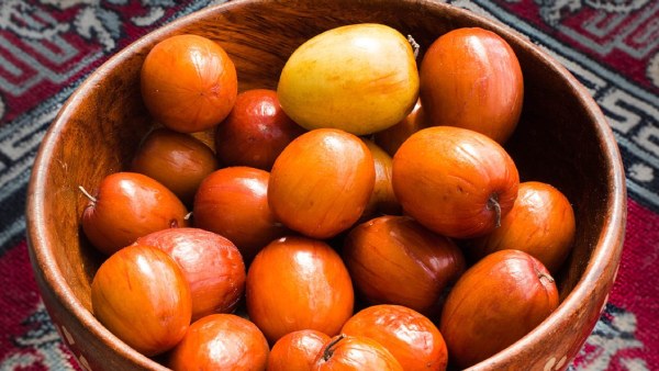 Jujube fruit Health benefits with this winter season fruit Jujube fruit Health benefits with this winter season fruit