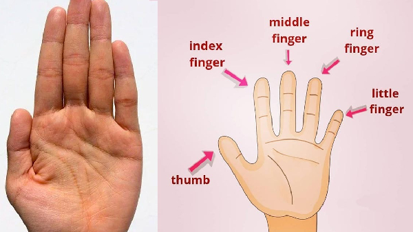 palmistry says this line on palm indicates incomplete love story