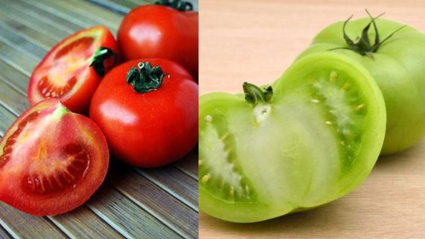 green tomato or red tomato which is better for health