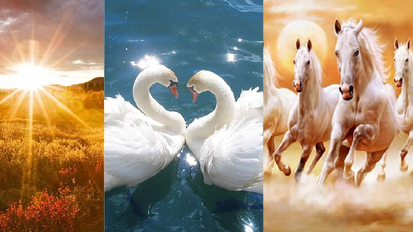 vastu tips keep this paintings in house negative energy will be gone vastu tips keep this paintings in house negative energy will be gone