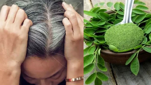 best home remedy for white hair treatment use moringa leaves and coconut oil hair mask