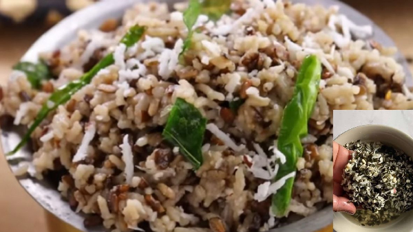 what is the significane of having black urad dal kichdi on makar sankranti 2025