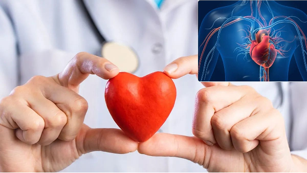 these signs in body show you have a healthy heart