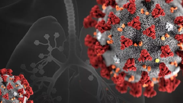 what is hmpv virus its symptoms and prevention tips what is hmpv virus its symptoms and prevention tips