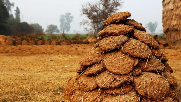 Things you should put in bhogi fire in telugu